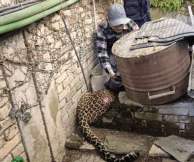 Screenshot 2025-11-11 153153