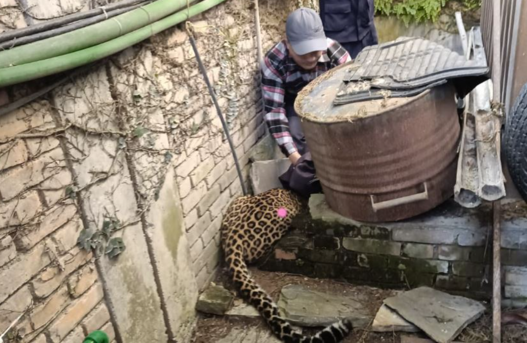 Screenshot 2025-11-11 153153