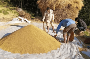 Screenshot 2025-11-13 205152