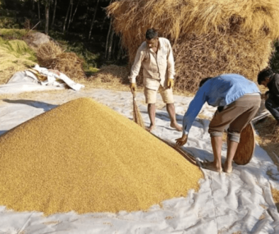 Screenshot 2025-11-13 205152