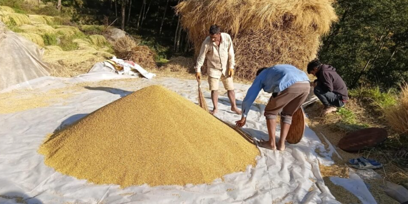 Screenshot 2025-11-13 205152