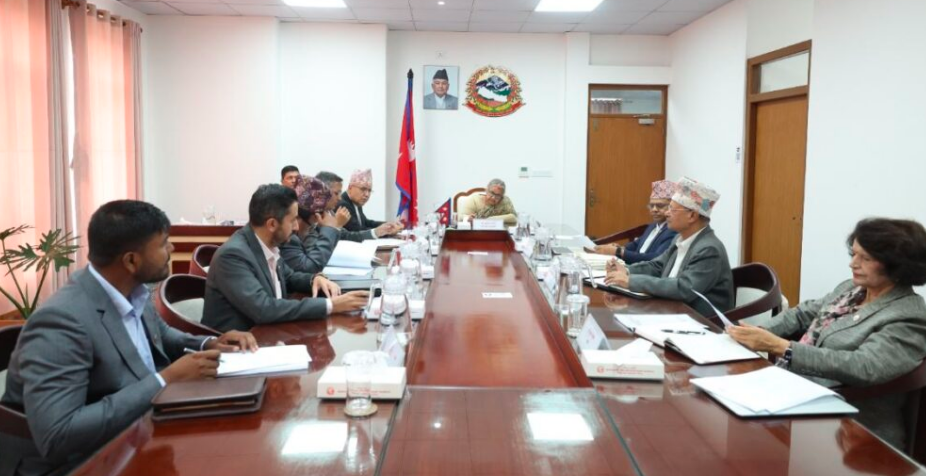 nepse punasamrachana photo