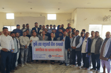 Screenshot 2025-12-12 145057