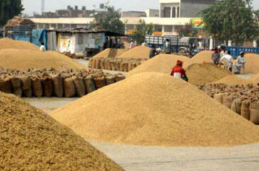 dhan-1751691003-sQn8x