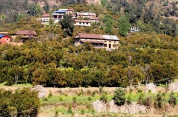 kavre_suntala_gw4Z3Snex8