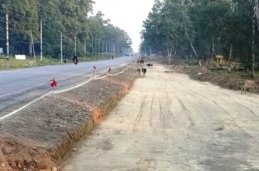 Compressed by jpeg-recompress