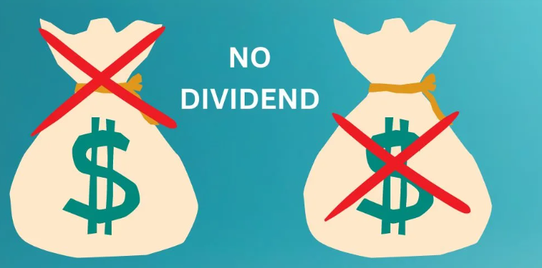 no dividends