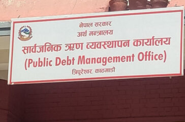 Public Debt Management