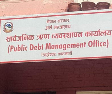 Public Debt Management