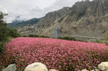 fapar_farming_manang__8_DrOQL4BbP1