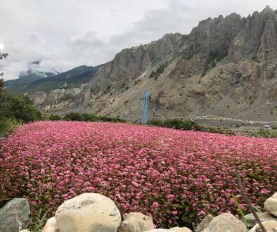 fapar_farming_manang__8_DrOQL4BbP1