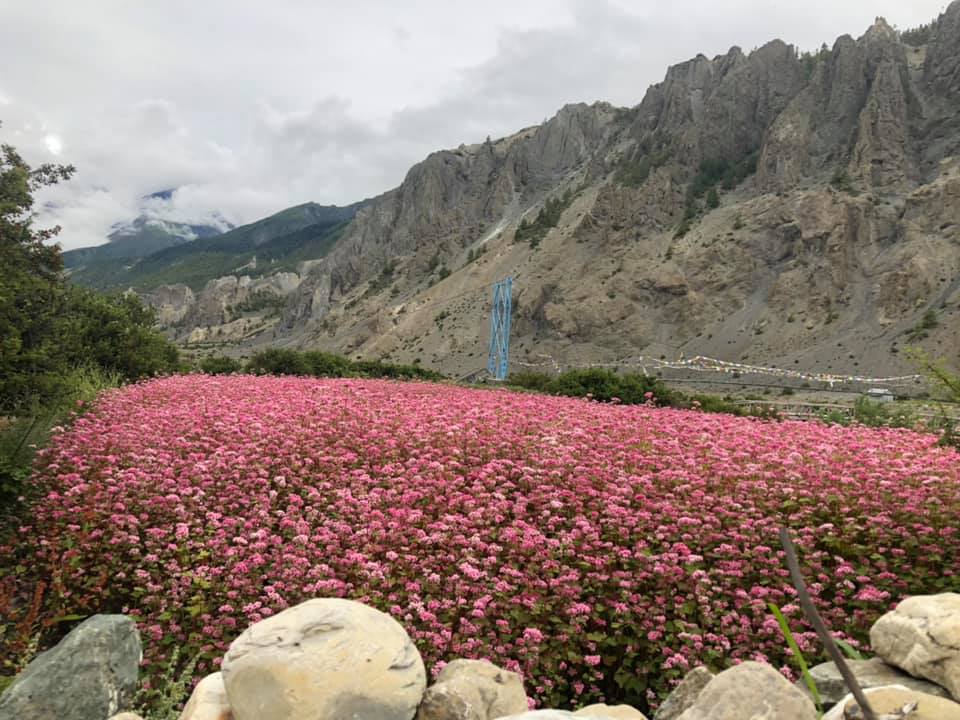 fapar_farming_manang__8_DrOQL4BbP1