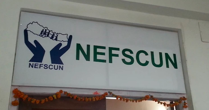 nefscus photo
