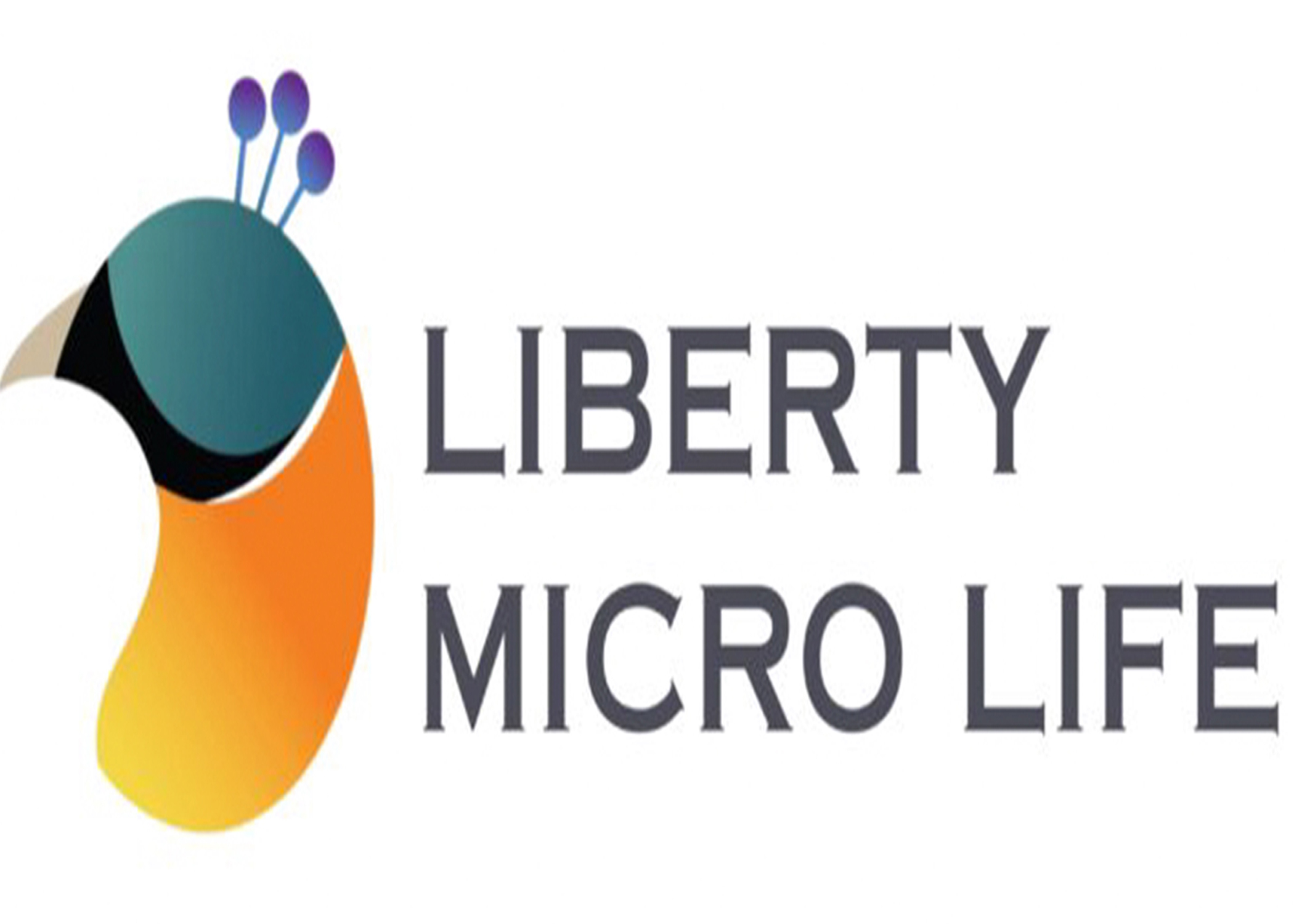 Liberty Micro