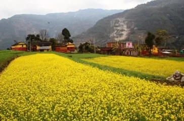 ratnechaur-toribari-12023-12-22-05-03-54_1000x700_50