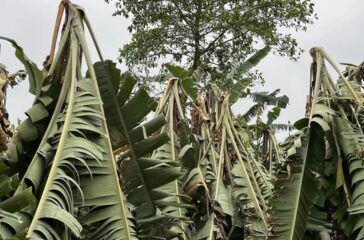 648676010_1410863473584206_1126542511474861771_n