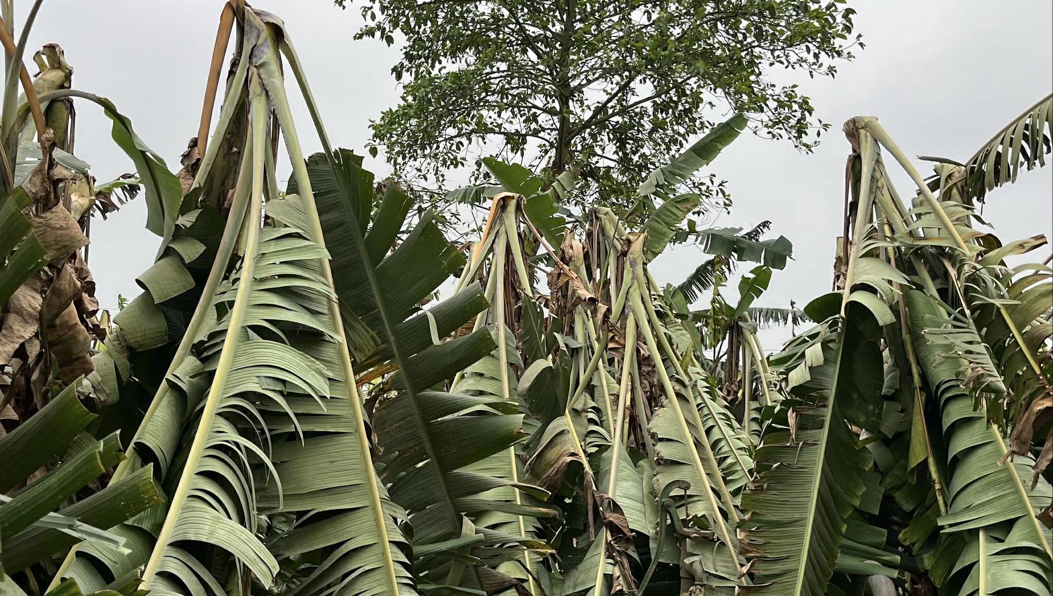 648676010_1410863473584206_1126542511474861771_n