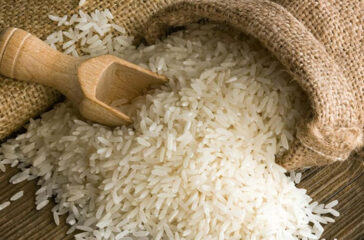 Chamal