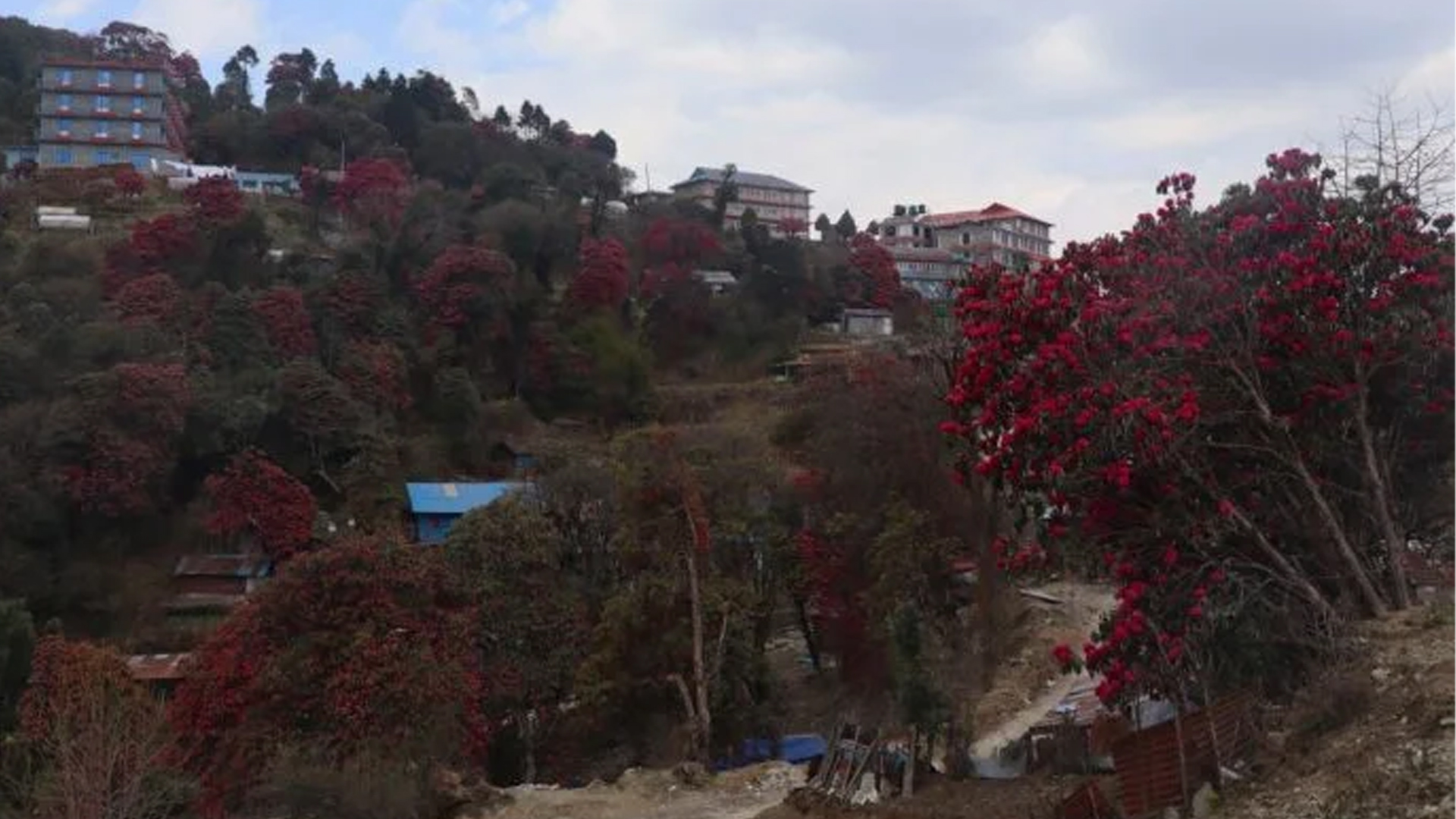 Ghorepani