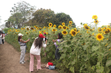 Screenshot 2026-03-10 122812