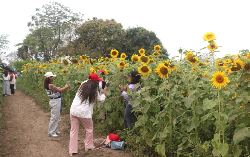 Screenshot 2026-03-10 122812