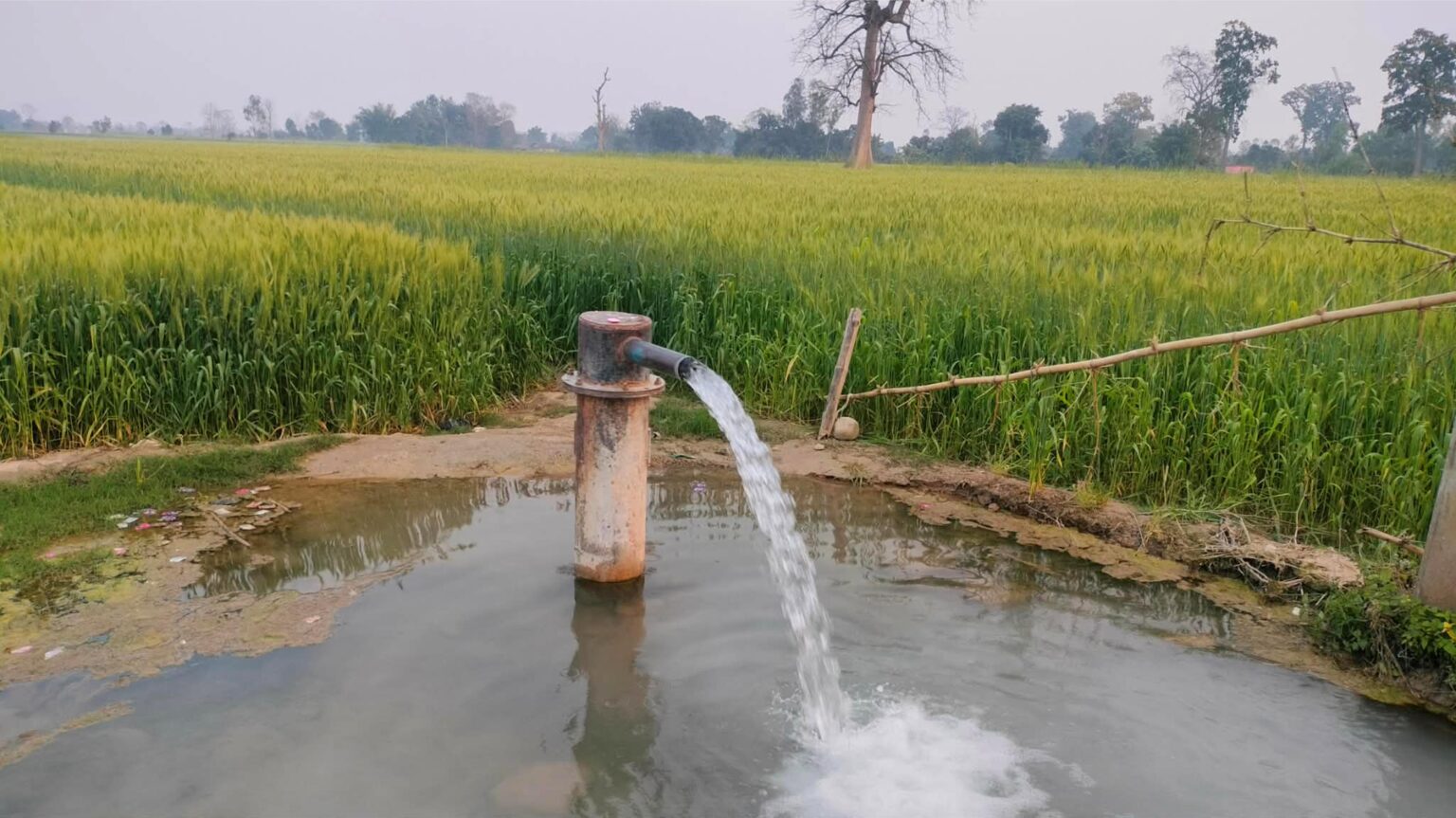 a39257f8-b89c-45e2-8360-fb29b8ddb24b-1536x863