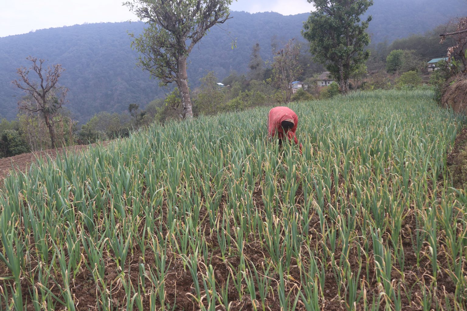 photo-lasun-1-1536x1024-1