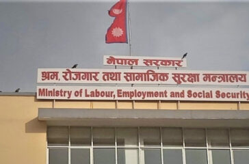 Ministry Of Labour Employment