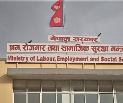 Ministry Of Labour Employment