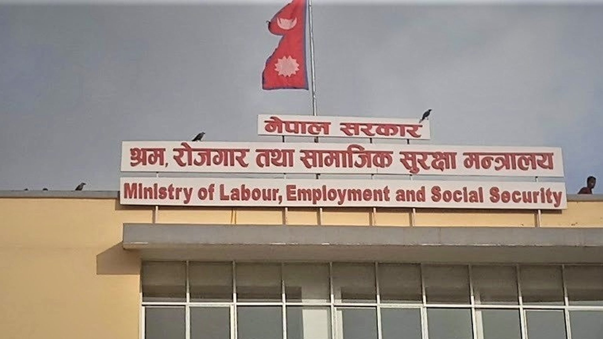 Ministry Of Labour Employment