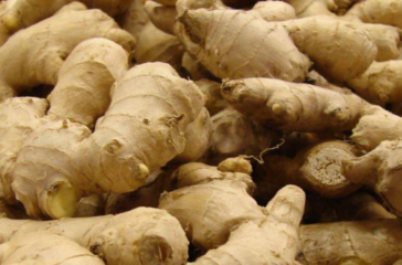 aduwa