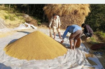 dhan-bita-768x429-1