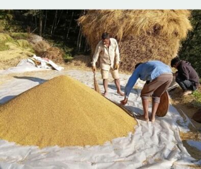 dhan-bita-768x429-1