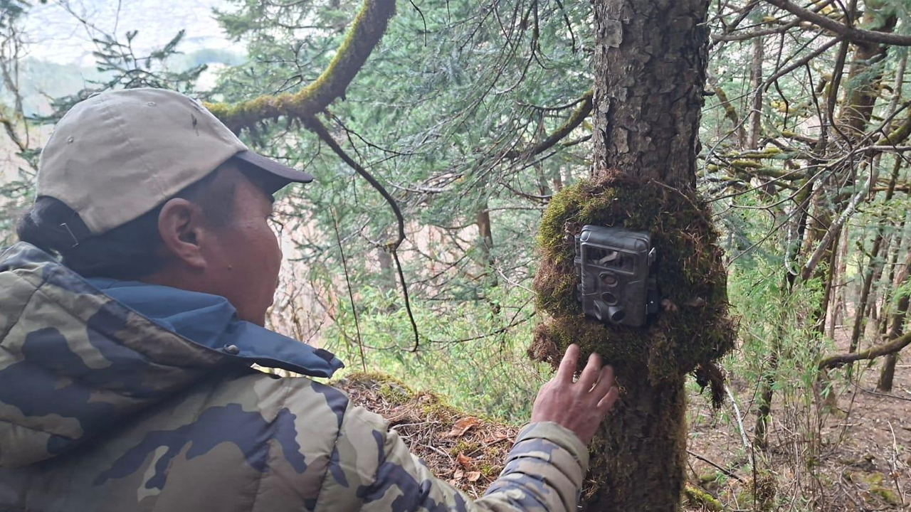 Camera