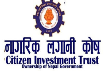 Citizen Investment