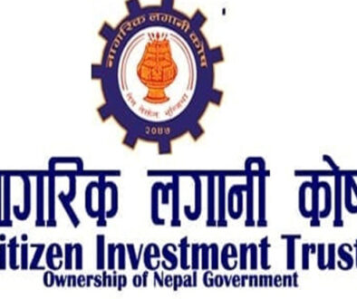 Citizen Investment