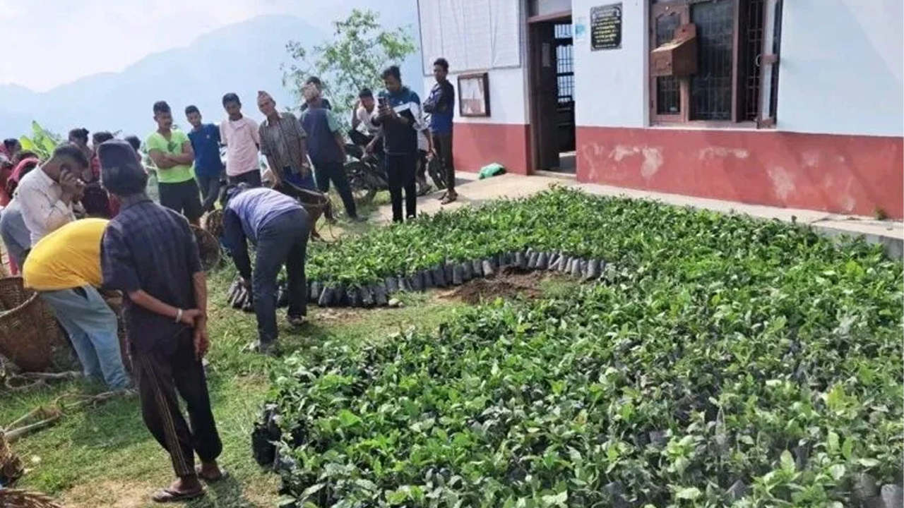 Cooffi Biruwa