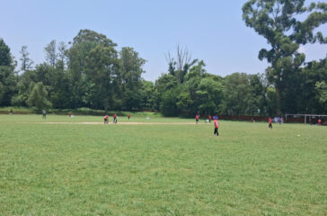 Cricket