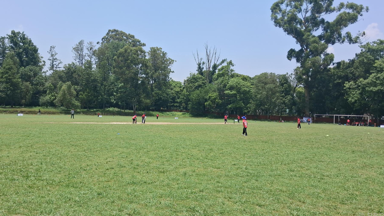 Cricket