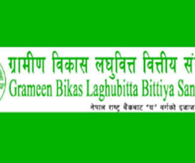 Grameen Bikas Baghubitta