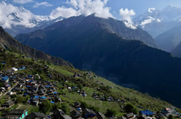 Mudi Gau