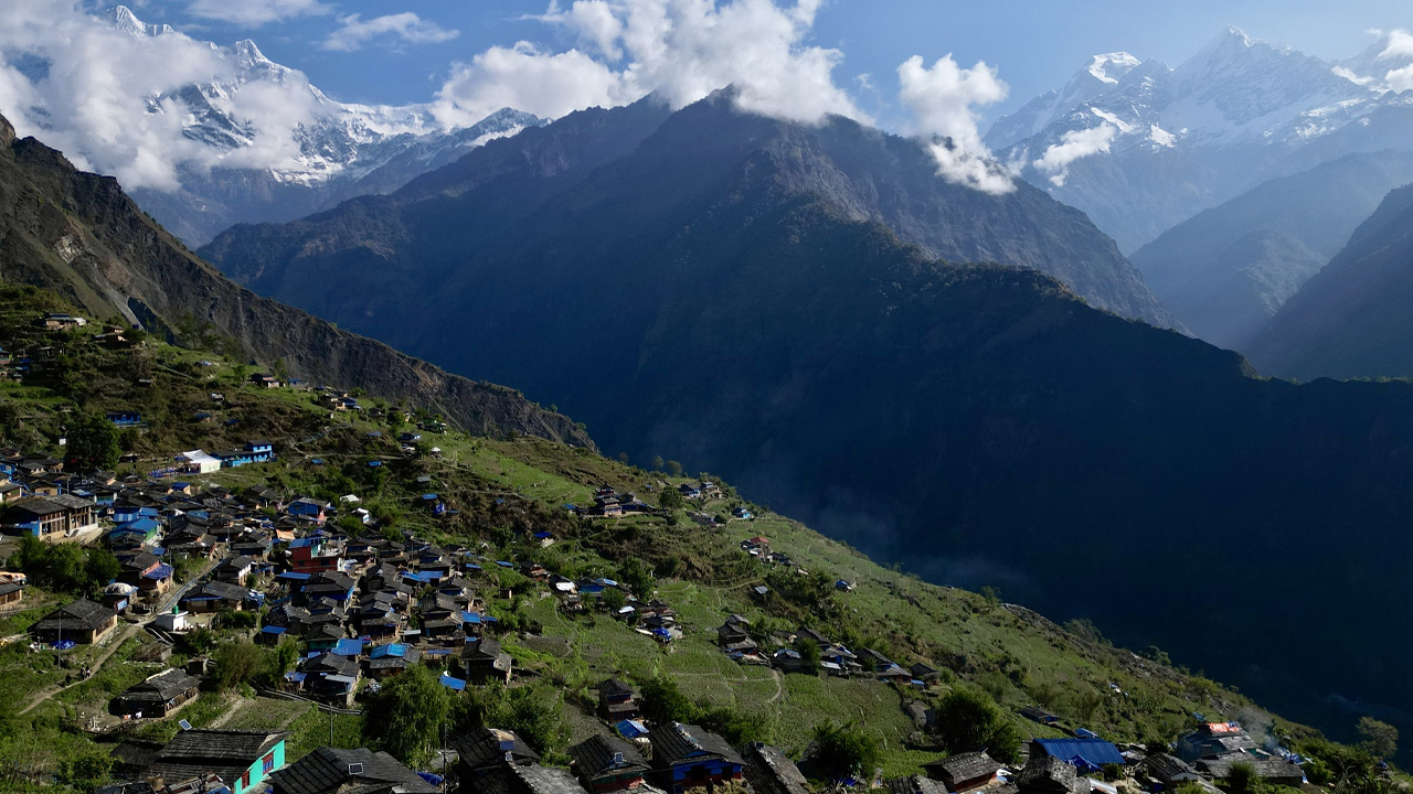 Mudi Gau