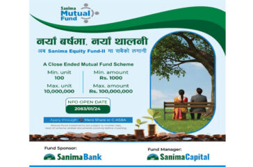 Mutual Fund
