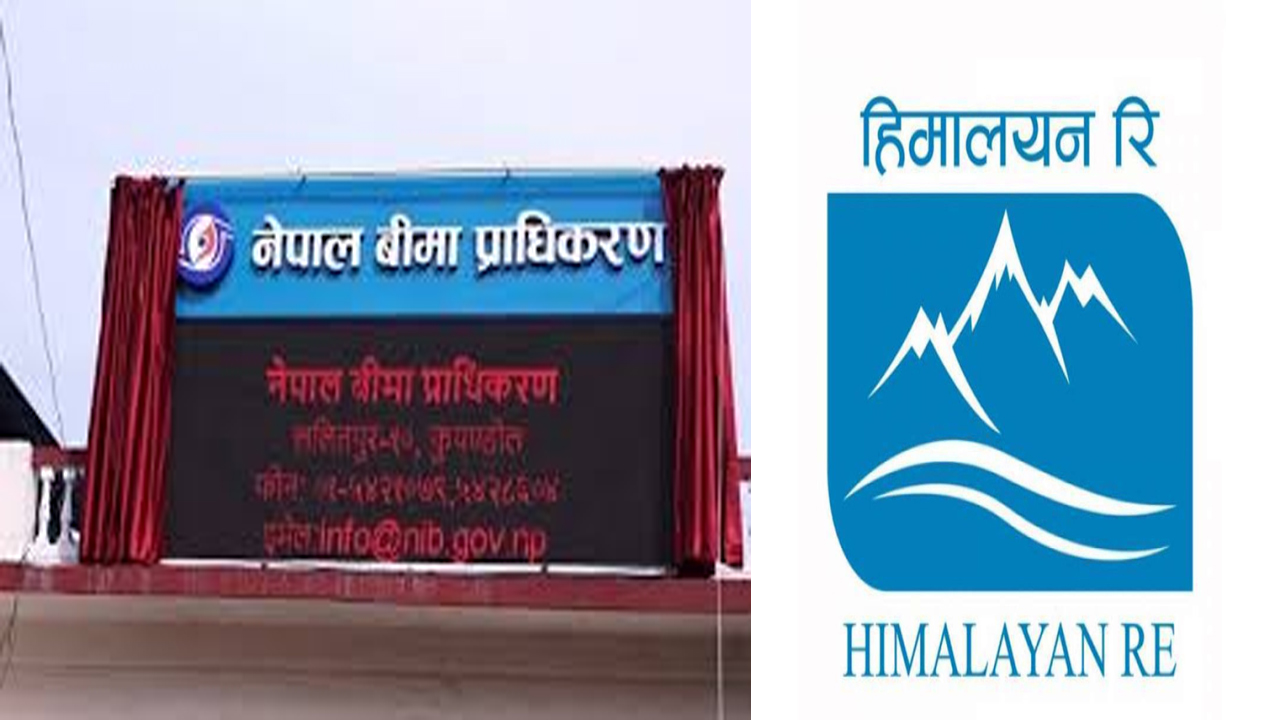 NBA Himalayan Re