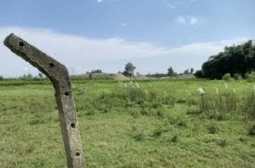 images-3-1