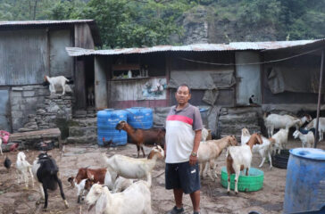 Bakharapalan