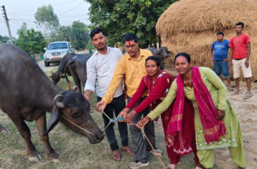 Bhaishsi