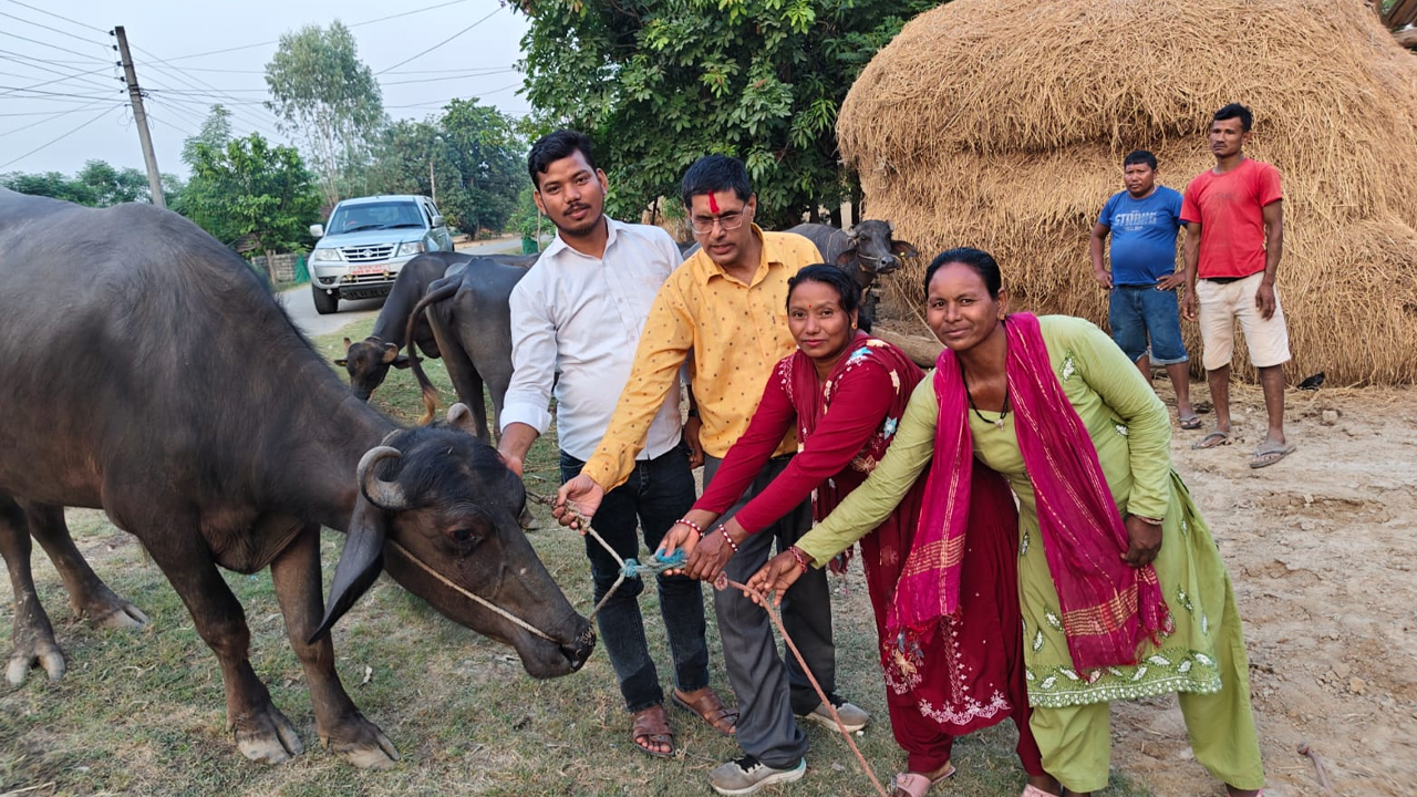 Bhaishsi