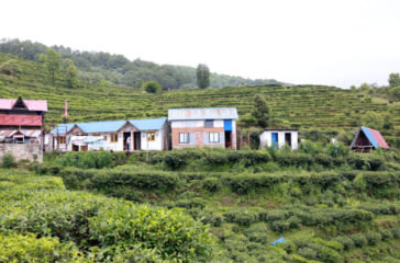 Chaibari