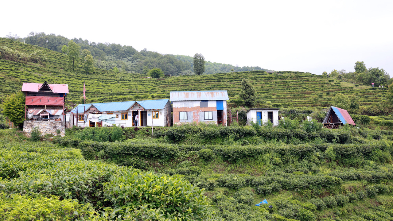 Chaibari